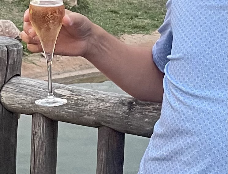 Profil de Thelio, 49 ans, Escort gay à Tägertschi